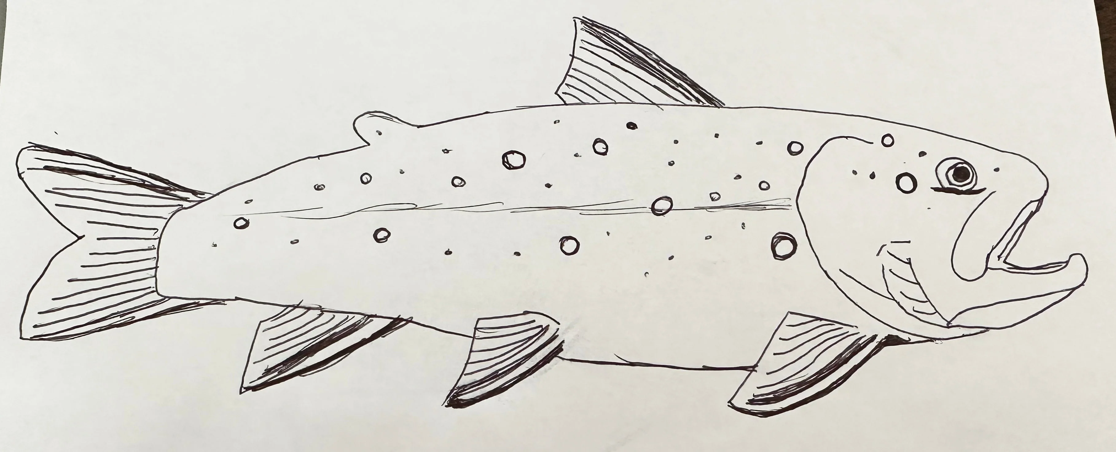 Brook Trout - Gray w/ White - Snapback Hat - Image 3