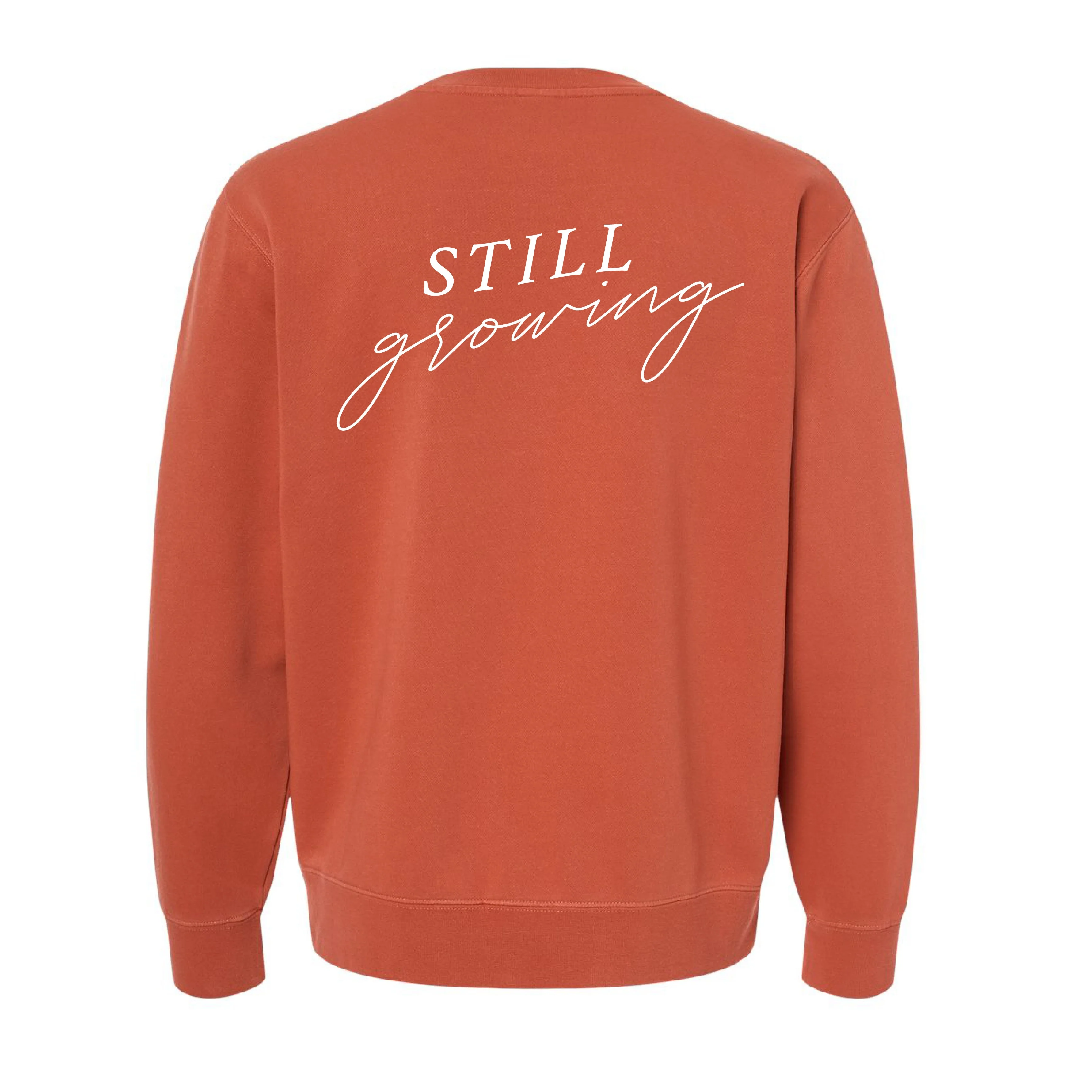 Embroidered/Printed PIGMENT Crewneck (pf&b) - Flowers / Still Growing - Image 14