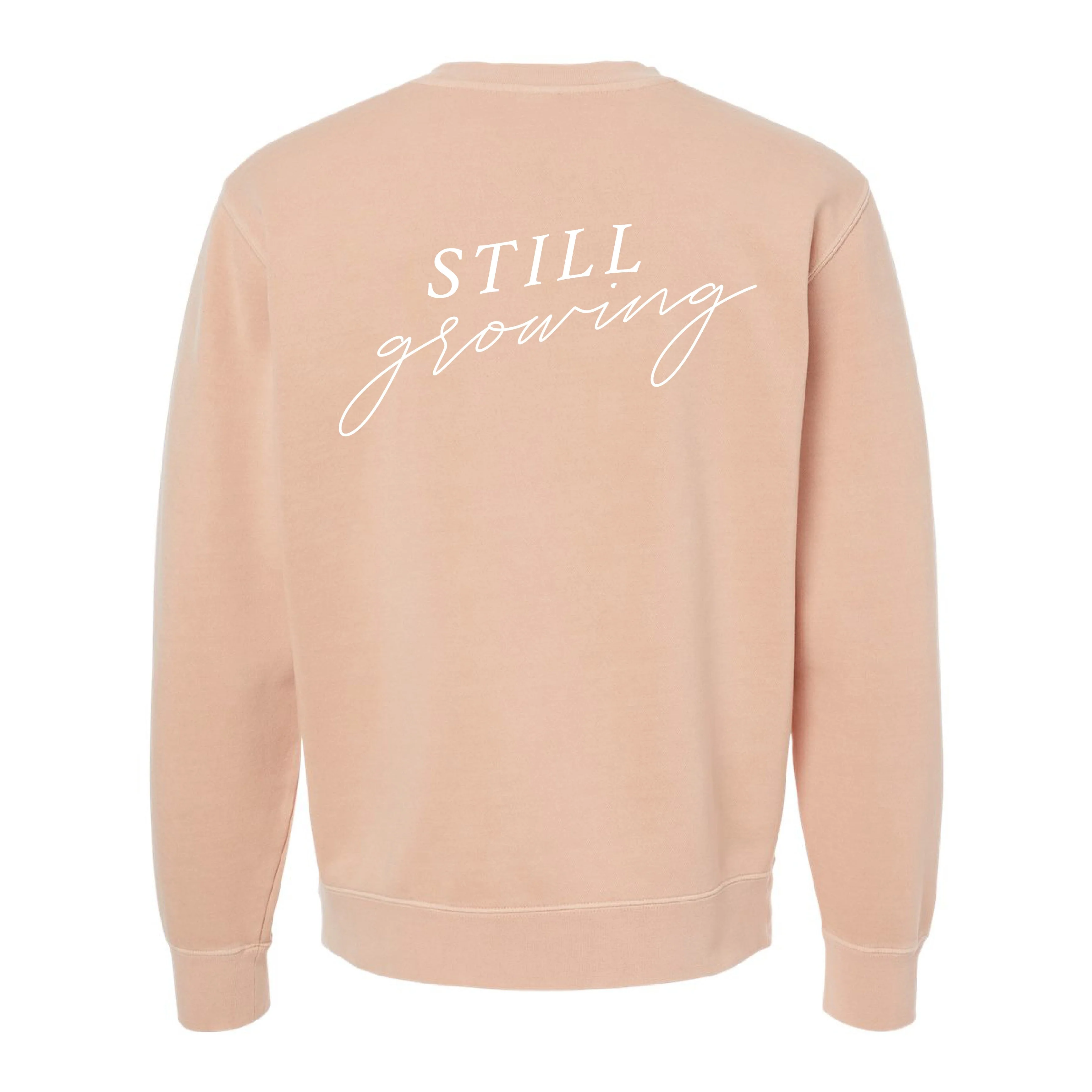 Embroidered/Printed PIGMENT Crewneck (pf&b) - Flowers / Still Growing - Image 19