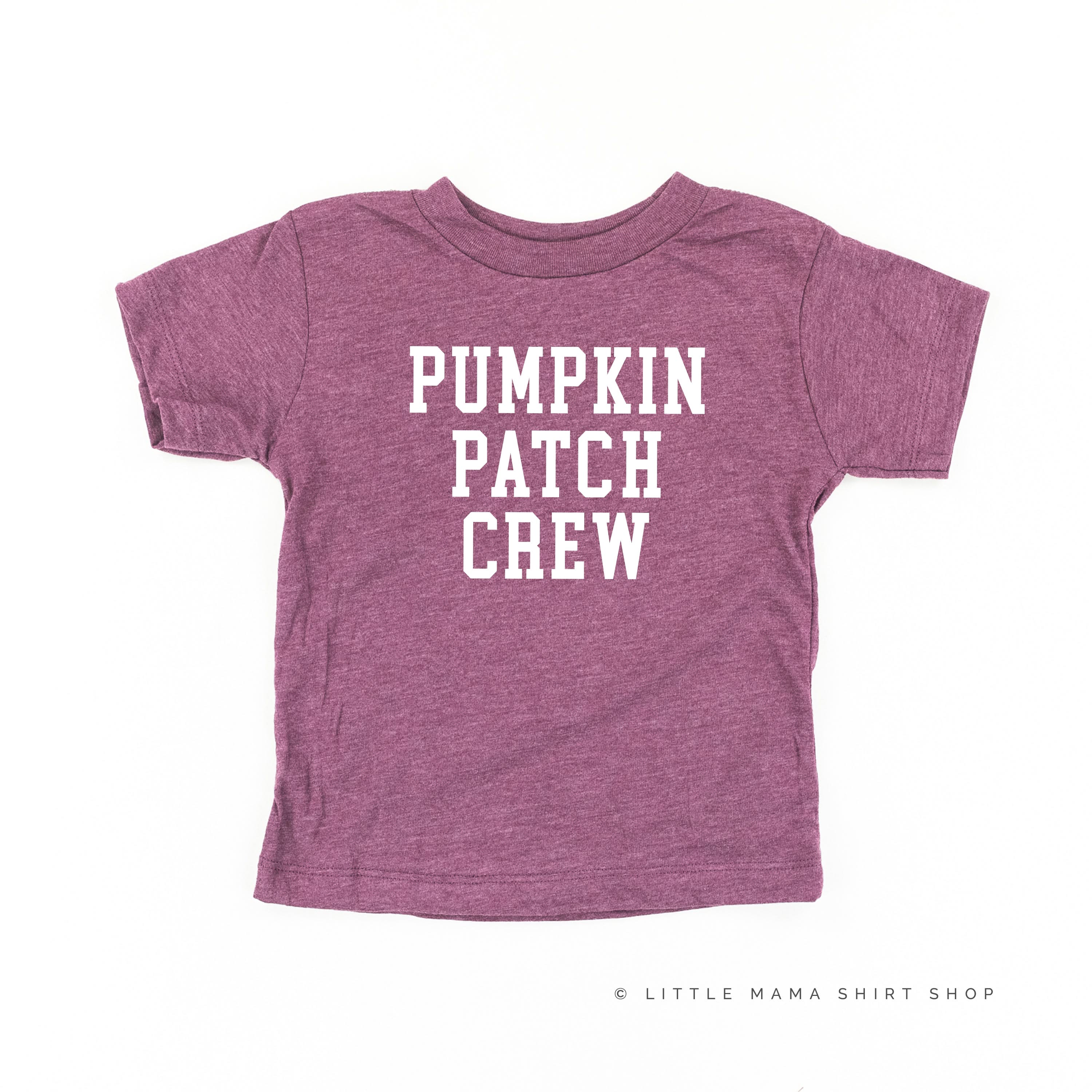 Pumpkin Patch Crew - Child Tee - Image 12