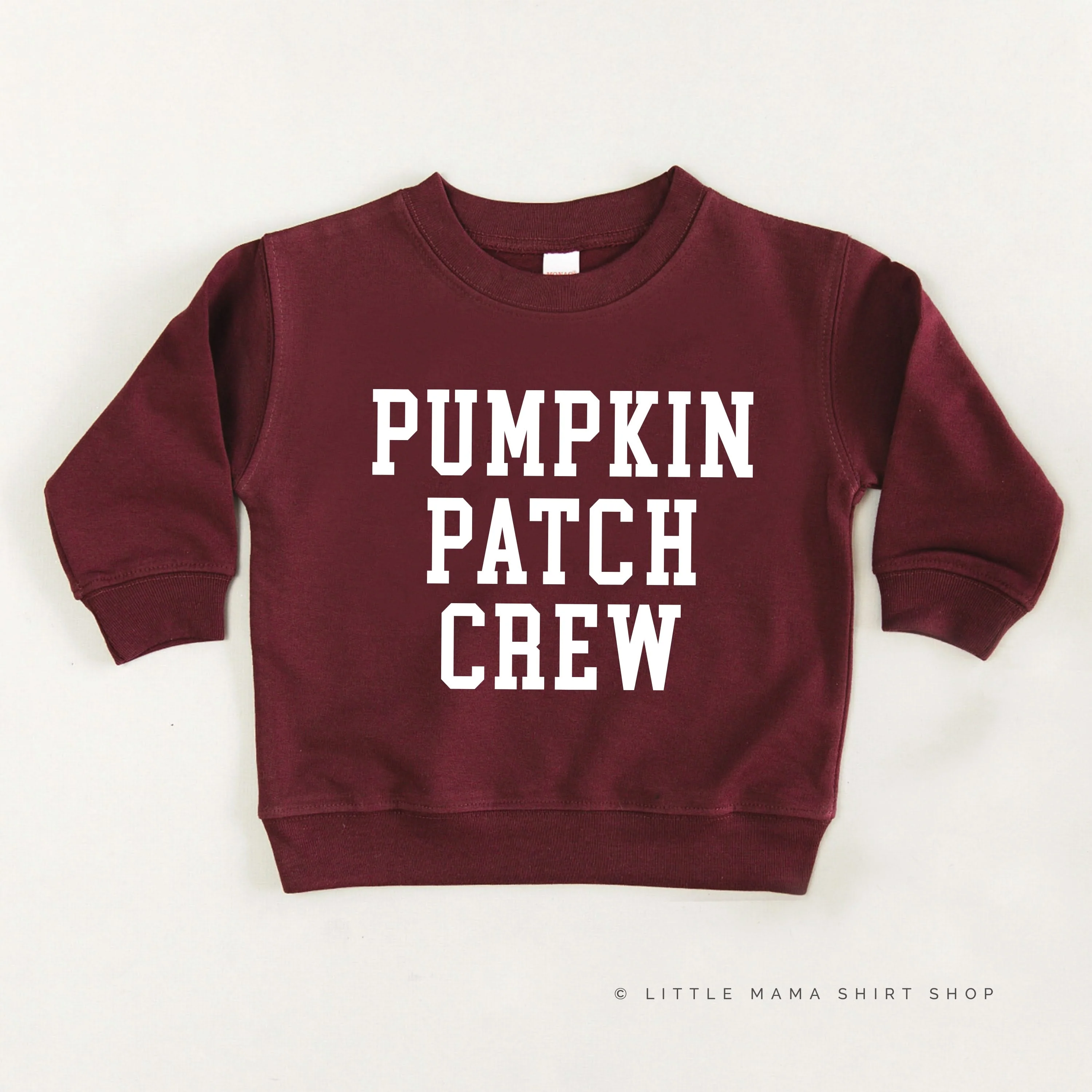 Pumpkin Patch Crew - Child Sweater - Image 4