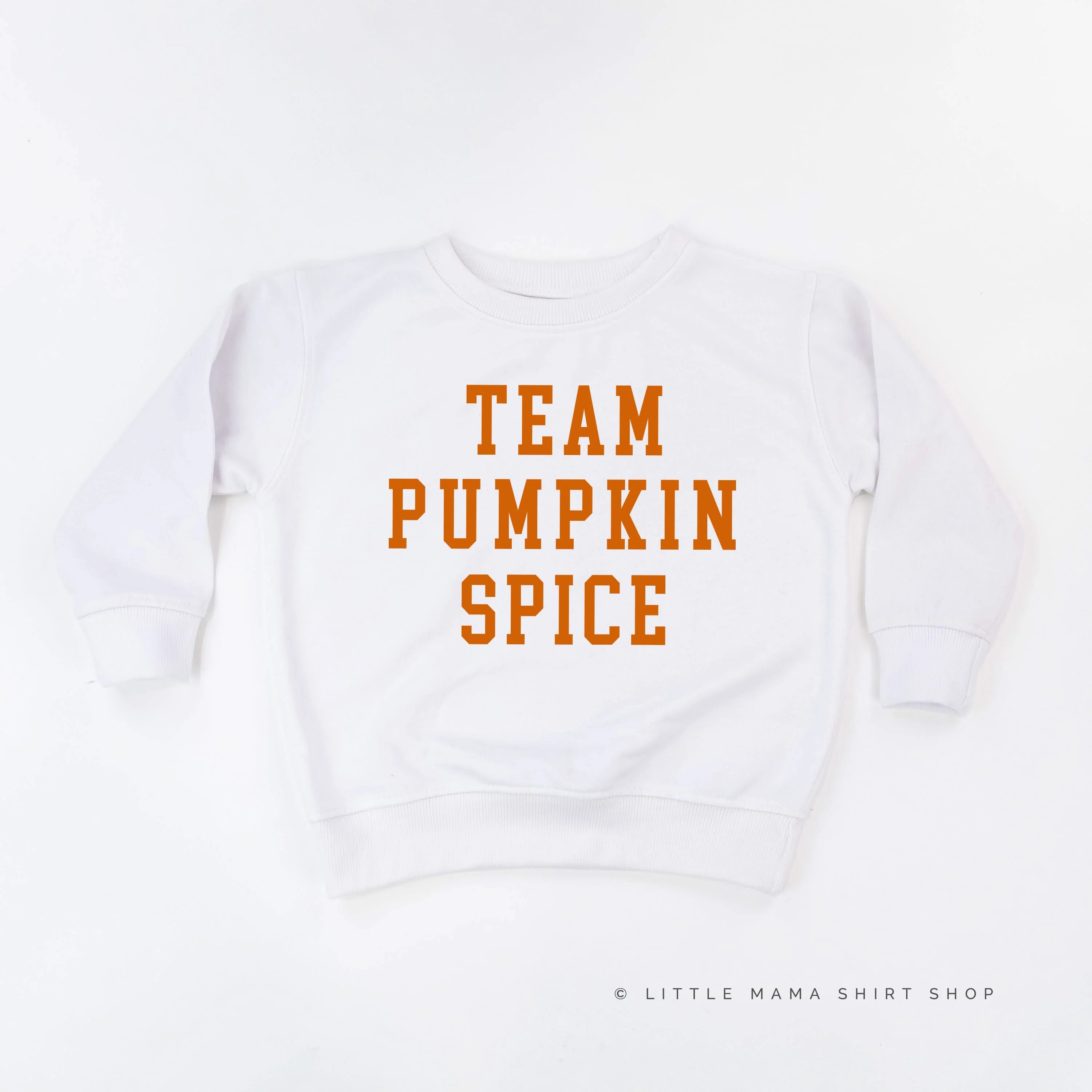 Team Pumpkin Spice - Child Sweater - Image 3