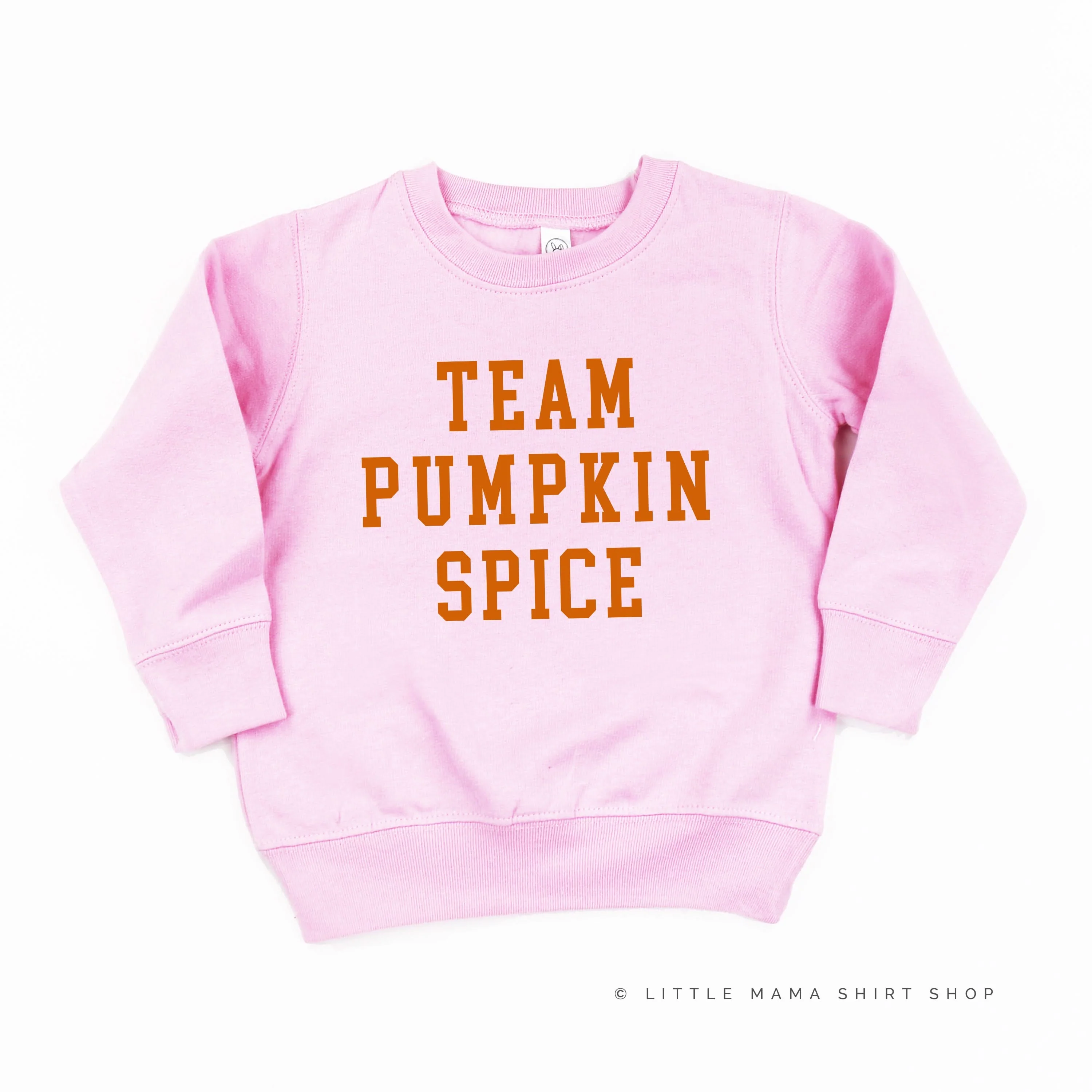 Team Pumpkin Spice - Child Sweater - Image 6